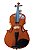 Kit Violino Canhoto Barth Nt 4/4 com Estojo (BK), Arco , Breu + Espaleira - Imagem 4