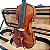 Violino Barth 4/4 - Profissional – Tampo Sólido Flameado com Estojo Super Luxo Retangular Térmico + Arco + Breu - modelo VFS335-WF - Imagem 7