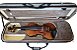 Violino Barth Violin 4/4 Profissional - Solid Wood + Estojo Super Luxo + Arco Octogonal + Espaleira - Imagem 9