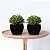 2 Mini Vasos OPTY - Imagem 3