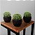 3 Mini Vasos BOLD - Imagem 1