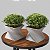 2 Mini Vasos TWIST - Imagem 2