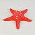 Enfeite Estrela do Mar Vermelha 14cm XH-03 A - Imagem 1