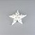Estrela Branca de Mesa Média XI-03 - Imagem 1