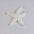 Enfeite Estrela do Mar Branca Pequeno XC-94 B - Imagem 2