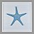 Quadro Estrela Do Mar Azul XG-71 - Imagem 1