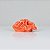 Enfeite Coral Vermelho 15 cm YU-54 B - Imagem 1