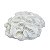 Enfeite de Mesa Coral Branco em Resina XN-48 A - Imagem 3