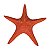 Estrela Do Mar Com Textura Vermelho TM-93C - Imagem 1