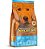 Special Dog Junior Premium para Cães Filhotes Sabor Carne 20Kg - Imagem 1