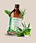 ALOE  VERA VIVER - Imagem 1