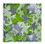 Guardanapo Decoupage Natal Estrelas Fundo Verde 243 com 4 unidades - Imagem 1