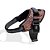 Peitoral para Cachorros FlyHarness  Vortex - Zee.Dog - Imagem 1