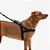 peitoral para cachorros softerwalk GOTHAM - Imagem 2