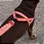 peitoral para cachorros softerwalk CANYON zee.dog - Imagem 2