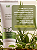 LUBRIFICANTE INTIMO A BASE DE TERPENOS DA AMAZONIA CB2 50ML INTT - Imagem 2
