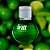 GEL BEIJÁVEL PARA ORAL ESQUENTA FRUIT SEXY CAIPIRINHA 40ML INTT - Imagem 3