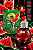 GEL BEIJÁVEL PARA ORAL FRUIT SEXY MELÂNCIA 40ML INTT - Imagem 1
