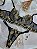 CONJUNTO PERSONALIZAVEL FIO BORBOLETA GLAMOUR PRETO COM DOURADO - Imagem 5