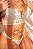 CONJUNTO LUXO COM BOJO EM RENDA TRABALHADA BRANCO - Imagem 3
