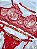 CONJUNTO PERSONALIZAVEL HADASSA VERMELHO - Imagem 4