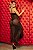 CAMISOLA LONGA EM TULE TRABALHADO Y7149 - Imagem 1