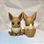 Kit Pokébola poké ball 8,5 cm abre fecha Pokemon aleatório surpresa pikachu presente brinquedo criança anime animação - Imagem 3