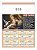 100 Calendários Folhinha De Parede 27x37 cm 2026 linha 612 a 623 - Imagem 5