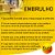 Garrafa Térmica Zojirushi 1 Litro Inox Marron Sasa Japão -  Marca Japonesa Elefante Qualidade Durabilidade - Imagem 3