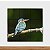 Painel Decorativo Pássaro Azul - Quadrado - Imagem 3