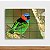 Painel Decorativo Pássaro Colorido mod 02 - Imagem 2