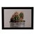 Quadro Decorativo Cactus - Imagem 4