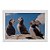 Quadro Decorativo Infantil Pinguins - Imagem 4