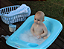 BANHEIRA BABY 32 LITROS - TOTAL 6 UNIDADES - Imagem 2