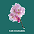 Essência Flor de Cerejeira 100 ml - Imagem 1