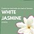 Essência para Aromatizante White Jasmine - Imagem 1