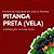 Essência de Pitanga Preta Para Vela - Imagem 1