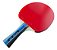 Raquete Tênis De Mesa Ping Pong Profissional Ittf + 2 Bolas - Imagem 7