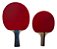 Mini Raquete De Ping Pong Tênis De Mesa Para Lazer Diversão - Treinamento Controle - Imagem 8