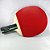 Raquete Butterfly Caneta Chinesa RDJ CS1 Aprovado ITTF Tênis de Mesa - Imagem 4