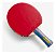 Raquete Classica Butterfly Fan Zhendong Profissional Tênis Mesa RDJ S2 ITTF - Imagem 2