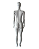 Manequim Feminino Reto 3 Braços Branco - Imagem 2