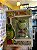 Funko Pop! Television A Família Dinossauros Earl Sinclair 959 - Imagem 4