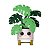 Funko Pop! Plants Planta Flora Monstera 02 - Imagem 2