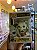 Funko Pop! Zodiac Signo Astrologico Capricornio Capricorn 14 - Imagem 3
