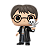 Funko Pop! Filme Harry Potter With Hedwig 197 Exclusivo - Imagem 2