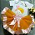 Kit Body e Saia Tutu Tema Sol para Bebê - Imagem 4