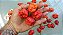 Kit Fort - 3 Molhos de Pimenta Carolina Reaper e 1 Capsaicina em Spray - Imagem 3
