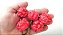 Pimenta Carolina Reaper In Natura 12 Unidades - Imagem 5