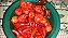 Sementes de pimenta Habanero vermelha - Imagem 7